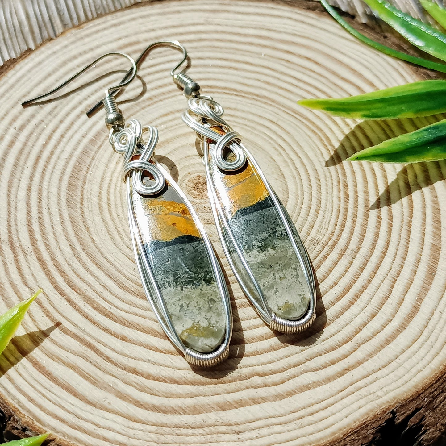 Bumble bee Jasper
