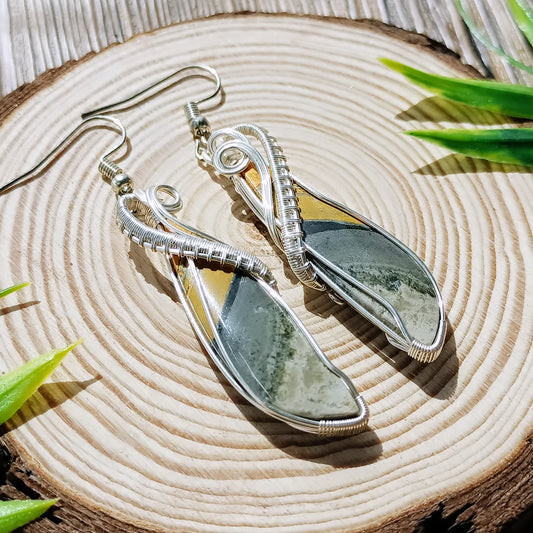 Bumble bee Jasper